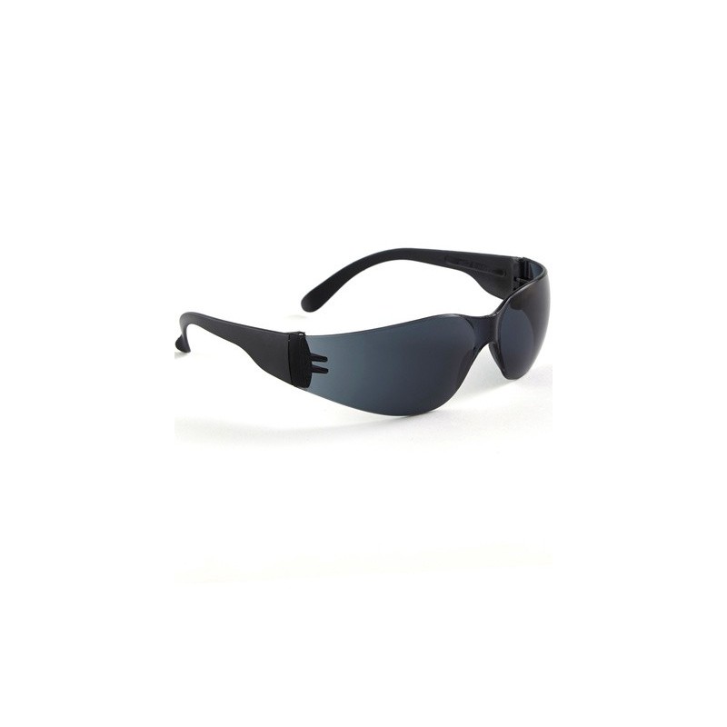 Lunettes de protection solaire SINGER EVASUN