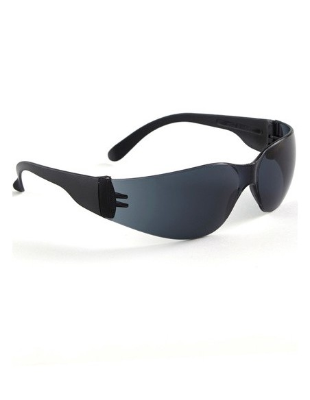 Lunettes de protection solaire SINGER EVASUN