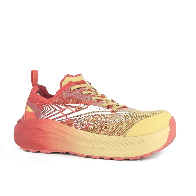 Basket de sécurité mixte DENEEZ S1PL | S24